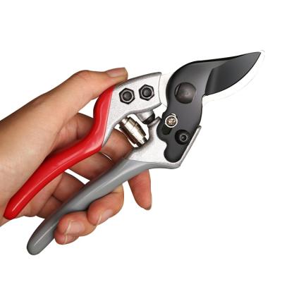 China v15 Blade Scissors Pruner Garden Tech Red Grey-black Precision Scissors J0357 for sale