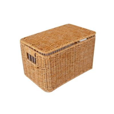 China Custom Sustainable Handmade Plastic Rectangle Brown PP Rattan Woven Storage Basket With Lid for sale