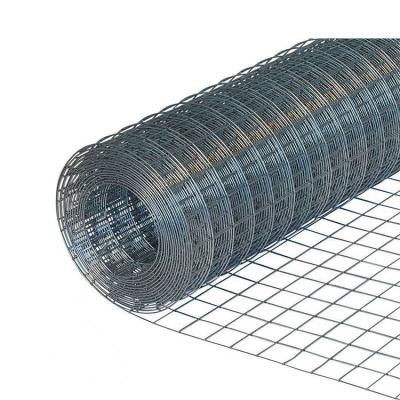 China Sturdy And Durable Oxidation Resistanc Cage Welded Wire Mesh Roll Welded Wire Mesh Rolls Bird 1/2 Inch By 3 Inch for sale