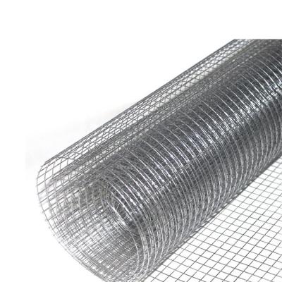 China Sturdy And Durable Top Quality Galvanized Wire Mesh Roll /Gi Welded Wire Mesh Pvc Coated Welded Wire Mesh Roll for sale