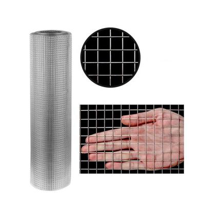 China Modern Design Sturdy And Durable Mild Steel Wire Hot Dip Galvanized Welded Wire Mesh Roll Welded Mesh Wire Mesh Roll for sale