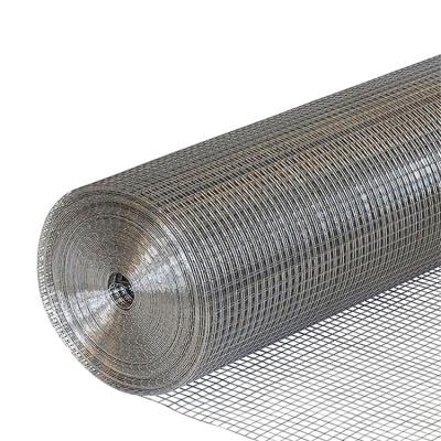 China Wide Varieties Sturdy And Durable Galvernized Welded Wire Mesh Roll Chicken Cage Pvc Coated Welded Wire Mesh Roll for sale