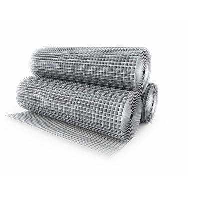 China Wholesale Price Sturdy And Durable Oxidation Resistance Welded Mesh Wire Mesh Roll Bird Cage Welded Wire Mesh Roll for sale