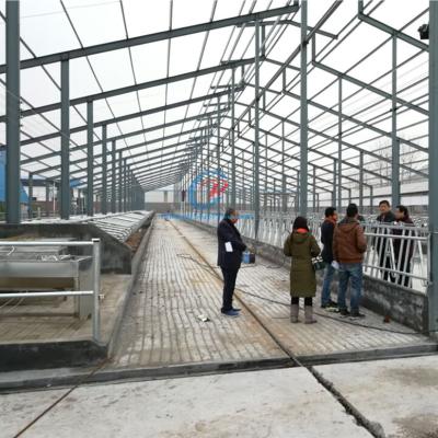 China Lichte staalconstructie Kooienstal Voorafgebouwd staalframe Boerderijgebouwen Te koop