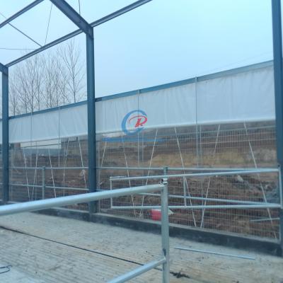 China Steel Metal Shed Construction , Prefab Steel Shed For Dairy Farm for sale