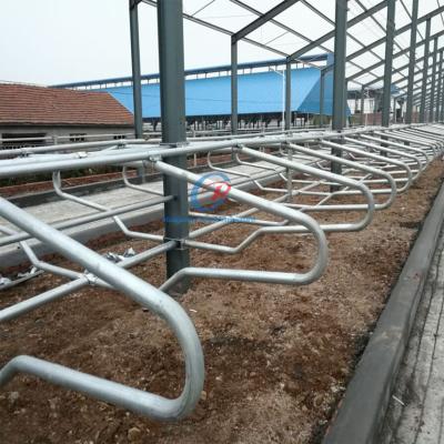 China Customized Steel Structure Cow Shed Building Prefab Cattle Dairy Farm Metal Frame Sheds for sale