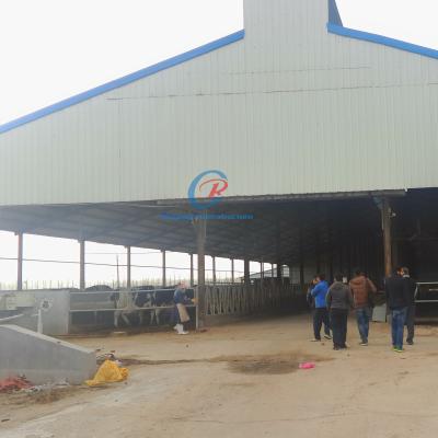 China Natural Ventilation Steel Structure Cow Shed Comfortable Steel Structure Livestock Shed for sale