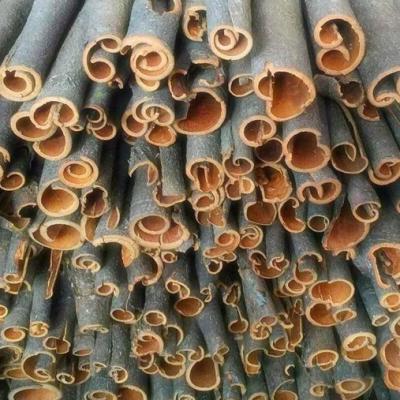 China 2022 Cinnamon Supply New Dry Culture Cassia Tube and CULTURE NEW for sale