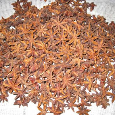 China Good quality dry culture natural spices and herbs new star anise for sale for sale