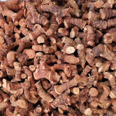 China Professional Dried Agricultural Product Vietnam Galangal Supplier for sale