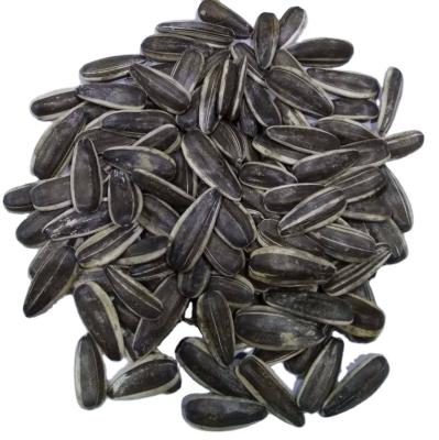 China 2020 dry chinese cultivation of sunflower seeds new for sale