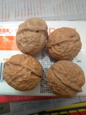 China Cheap New Price Culture Dried California Nuts Healthy Nuts For Sale for sale