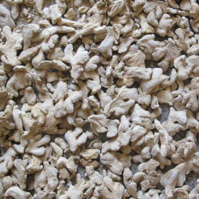 China Wholesale Fresh New Product High Quality Dry Red Ginger For Sale for sale