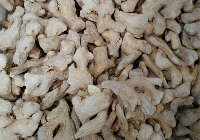 China Promotion fresh new purity natural ginger best selling price in china for sale