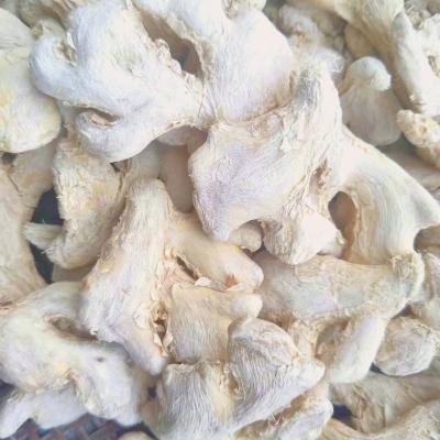 China New product hot sale g new product high grade ood quality black ginger fresh hot root for sale