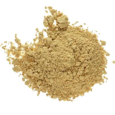 China Fresh Manufacturer Directly Supply Purity New Natural Bulk Ginger Powder for sale