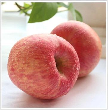 China Fresh Chinese Shandong Fuji Juicy Fresh Red Apple for sale