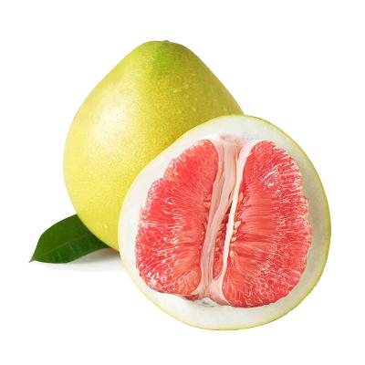 China Fresh Chinese Fujian Honey Grapefruit, Guangxi Shatian Grapefruit Chinese Grapefruit Supplier for sale