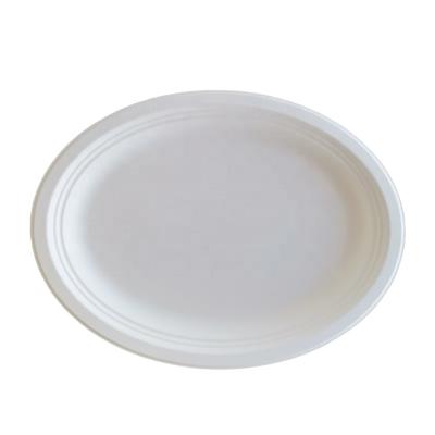 China Biodegradable Water And Oil Proof Recycle Disposable Tableware Zhejiang For KFC for sale