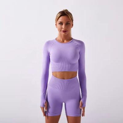 China Low MOQ Breathable Women Fitness Yoga Wear Ready To Ship Seamless Long Sleeve Crop Top for sale