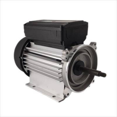 China fase monofásica 1hp elétrico 3000rpm do motor 300-500W submergível para as bombas de circulação à venda