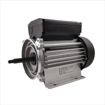 China fase monofásica 3000rpm do motor elétrico da bomba de água 300-700W para as bombas dos termas e da banheira à venda