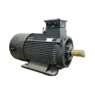 China Max 50kg Flour Capacity Permanent Magnet Synchronous Motor IEC/DIN Standard Air/Water Cooling for sale