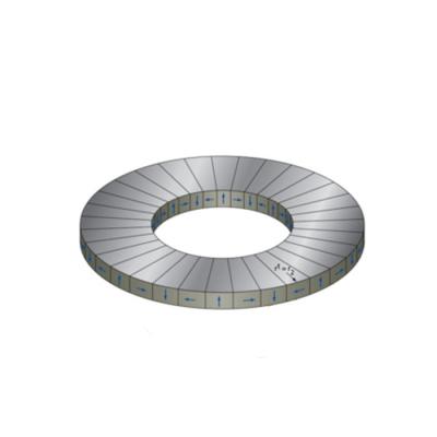 China Neodymium Halbach Array Arc Magnet for Motor Processing and Permanent Moulding Service for sale