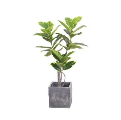 China Artificial Rubber Based Glue Tree Fake Plant Contemporary Wholesale Square Pot For Office Housing Living Room Home Decor for sale