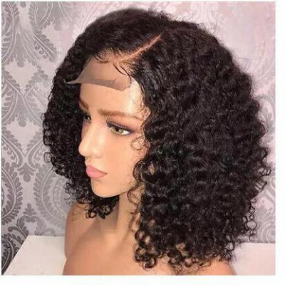 China Other Raw Indian W-44 Wholesale Pre Plucked Full HD Glueless Lace Wig For Women's Transparent Lace Front Human Hair Wigs 4X4 Color for sale