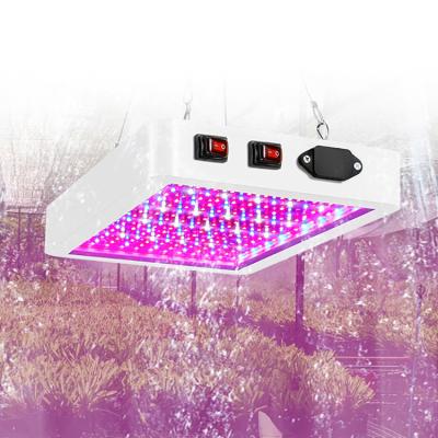 China Button Dimming LED Grow Light 3000W Waterproof Phytolamp 2835 LED Chip Phyto Growth Lamp 265V Full Spectrum Plant Lighting for Indoor Plant for sale