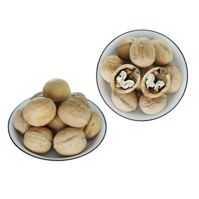 China Nutritious nut factory sale dry fruit nuts in shell nut peeling nuts for sale