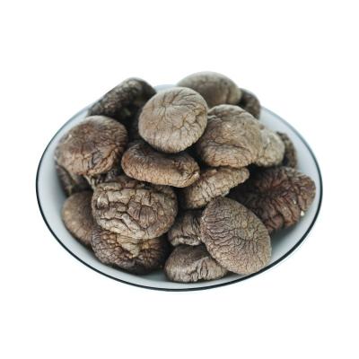 China High Nutrition Chinese Hot Selling Organic Cheap Nutritious Dried Mushroom Shiitake Mushroom Price for sale