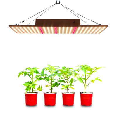 China Seed Starting Cusomik 100 Watt Full Spectrum 3000K 660nm Led Panel Growing Lamp For Indoor Orchids for sale