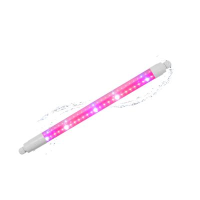 China Seed Starting Cusomik Led T8 Tube Grow Light Greenhouse Veg Commercial 96pcs 2835 SMD For Indoor Planting for sale