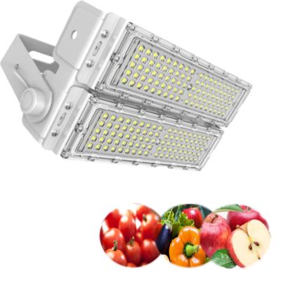 China Direct selling real factory power full spectrum 120W LED high power tunnel lamp. for sale