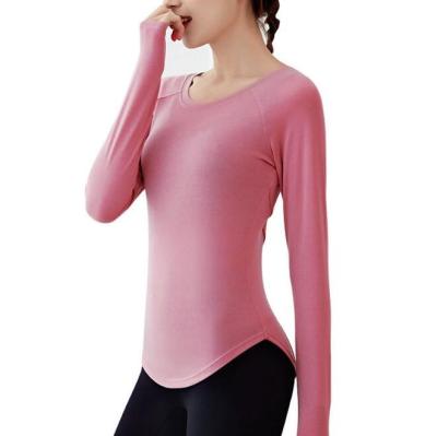 China Hot Sales Autumn Sportswear Custom Active Stretch Female Fitness Exercise Yoga Tops Breathable Sheath Long Thin Breathable Yoga Wear for sale