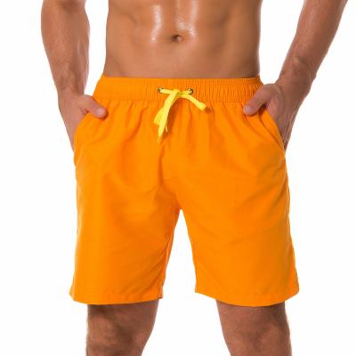 China Custom Made Breathable Elastic Waist Mesh Beach Shorts For Men Summer 100% Polyester Swim Shorts for sale