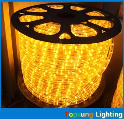 China Outdoor string lights 1/2'' 2 wire low voltage 24/12v darulights led for sale