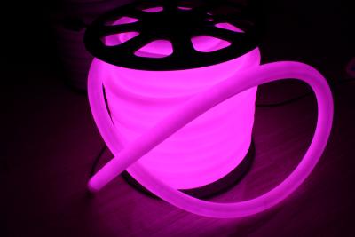 China 360 degree round 100leds/m 25m spool purple 110v neon flex light waterproof for sale