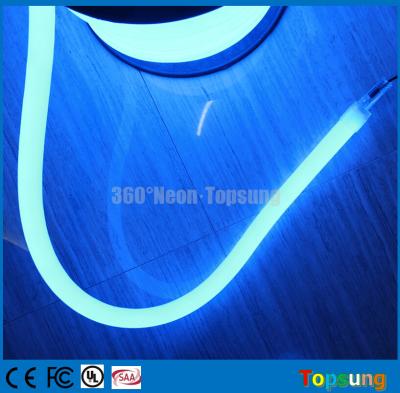 China 100' spool 24 Volt blue 360 degree round led neon light for pool for sale