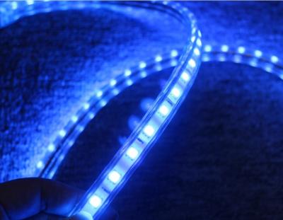 China 5050 AC strip lights 220V 60LED/M blue lighting for sale