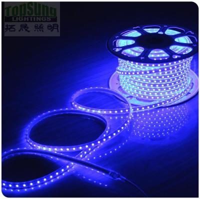 Chine 100m 230v bande LED 5050 étanche à l'eau bandes coupables lumières couleur bleue flexible à vendre