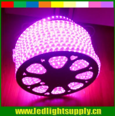 Chine vente en gros de bande LED 110V à LED alternatif bande LED flexible 5050 smd rose 60LED/m bande à vendre