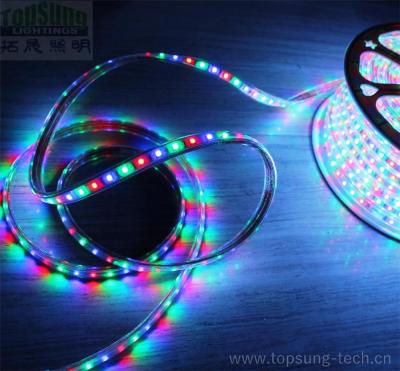 China 50 Meter RGB-Spulen mit 120-Volt-Led-Band 5050 SMD Handelssicherung Distributor zu verkaufen