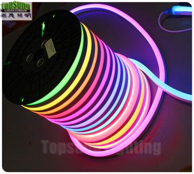 China 24v led neon digital light 14*26mm battery powered neon rope lights for sale