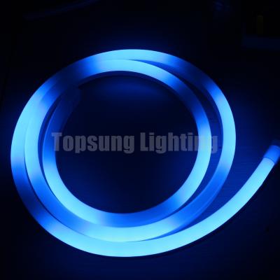 China 14*26mm colored led light neon digital 24v lights for sale