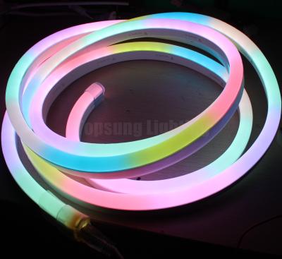 Κίνα dmx SPI ψηφιακό RGB 11x19mm επίπεδα LED νεόν 12v διευκρινίσιμες λωρίδες νεόν 24v 10pixel/m προς πώληση