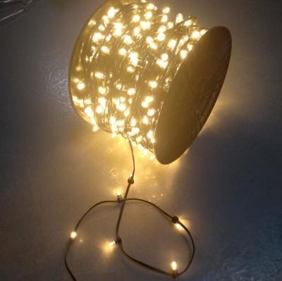 China 100m Outdoor Tree Decorative Dark green Wire Christmas 12V LED Fairy Clip Lights led christmas for sale