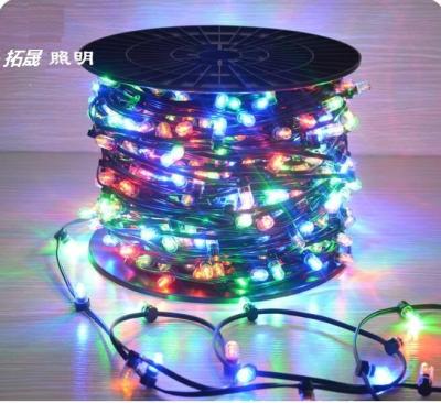 China 100m led string lights outdoor crystal clip copper fairy lights 666 led 12v rgb xmas light for sale